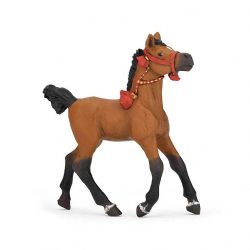 PAPO -POULAIN ARABE EN TENUE DE PARADE #51548